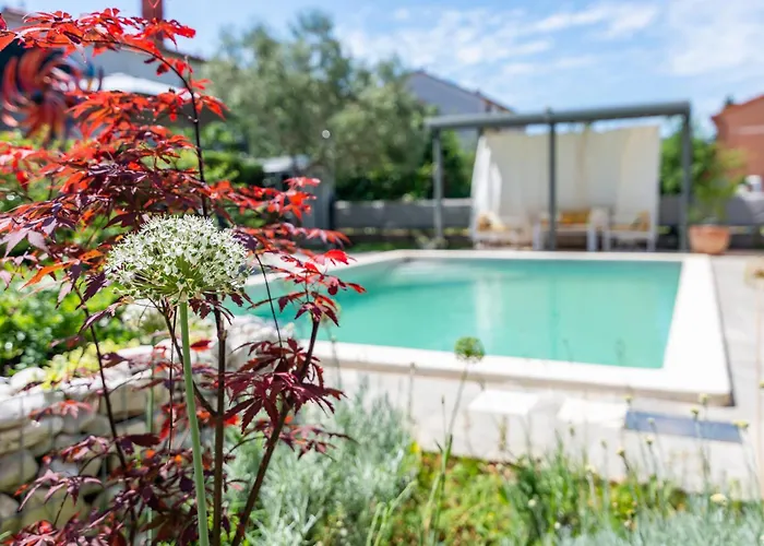 Apartment Superior Apartment With Private Pool Pula