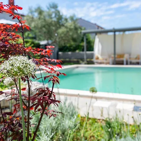 Apartmán Superior With Private Pool Pula
